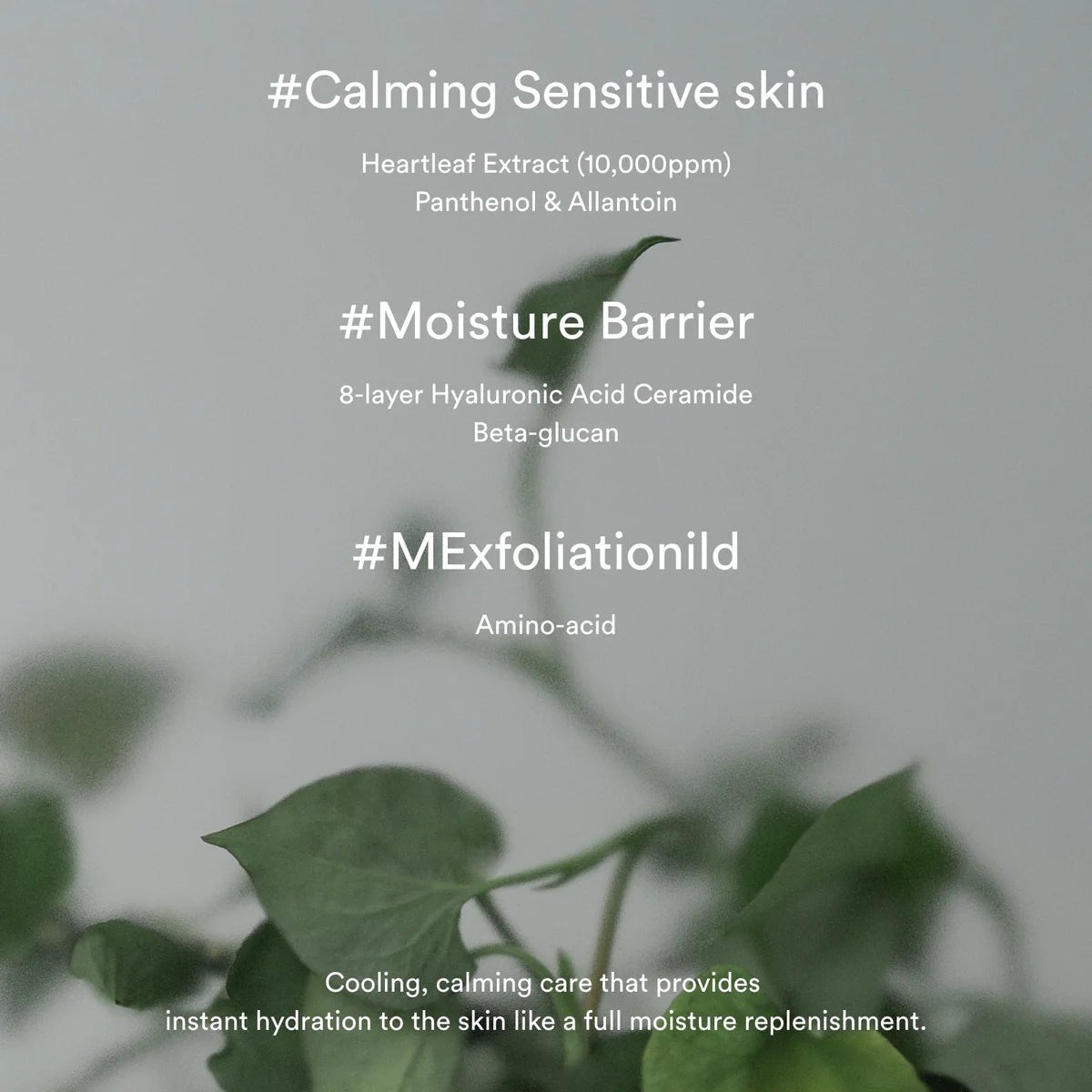 Abib Heartleaf Cream Calming Tube - OVERRATED