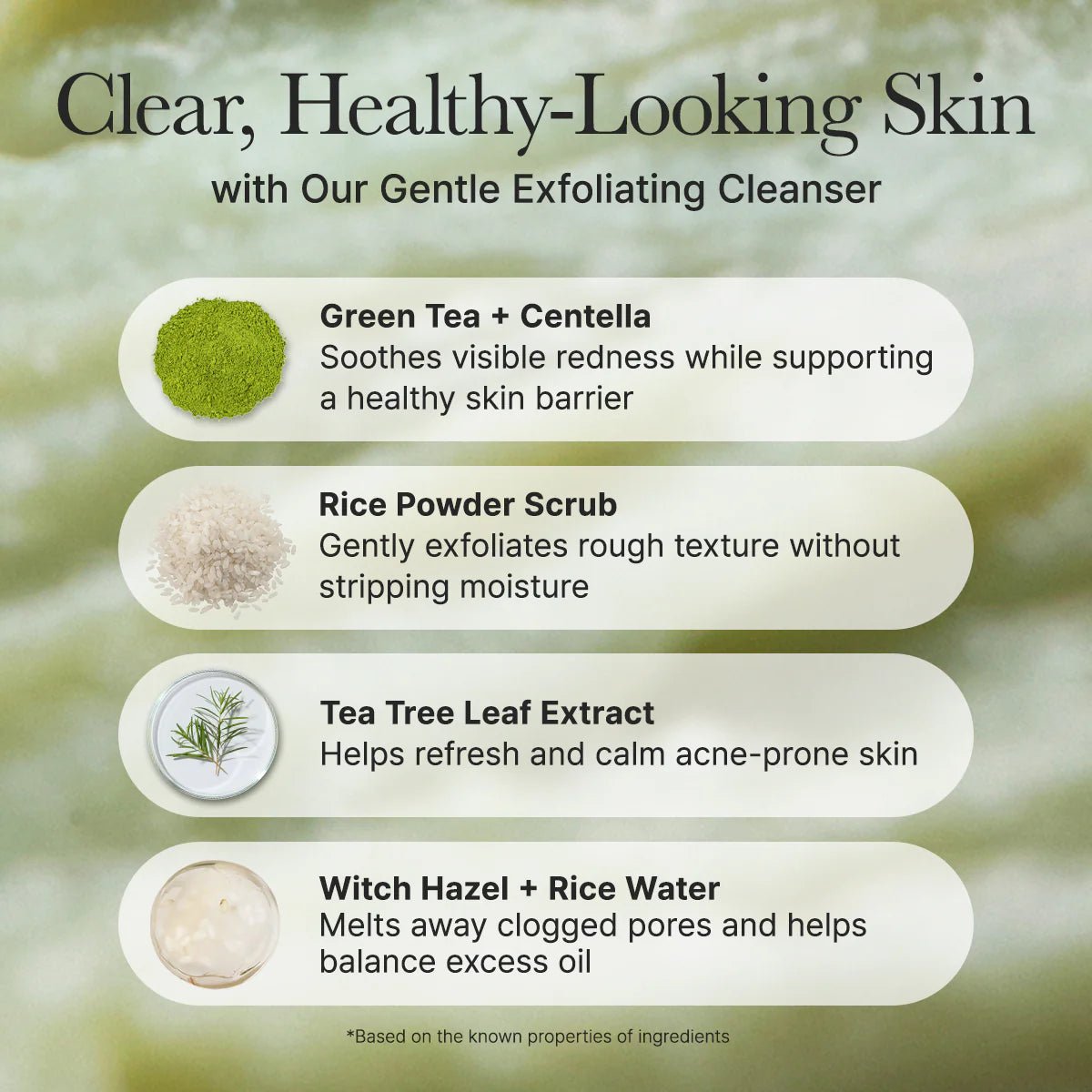 Arencia Fresh Green Rice Mochi Cleanser - OVERRATED
