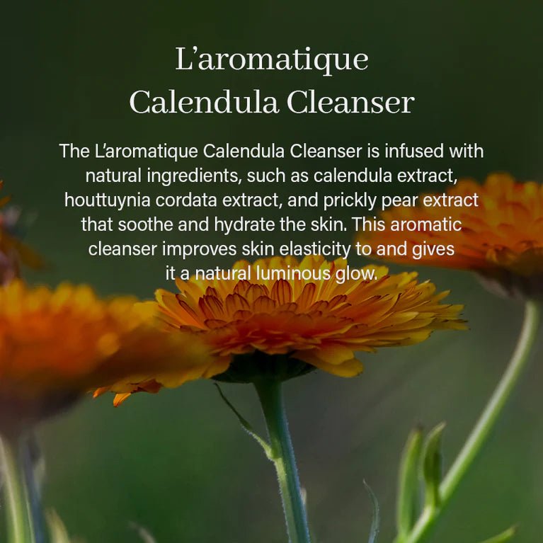 Arencia L'aromatique Calendula Cleanser 120g - OVERRATED
