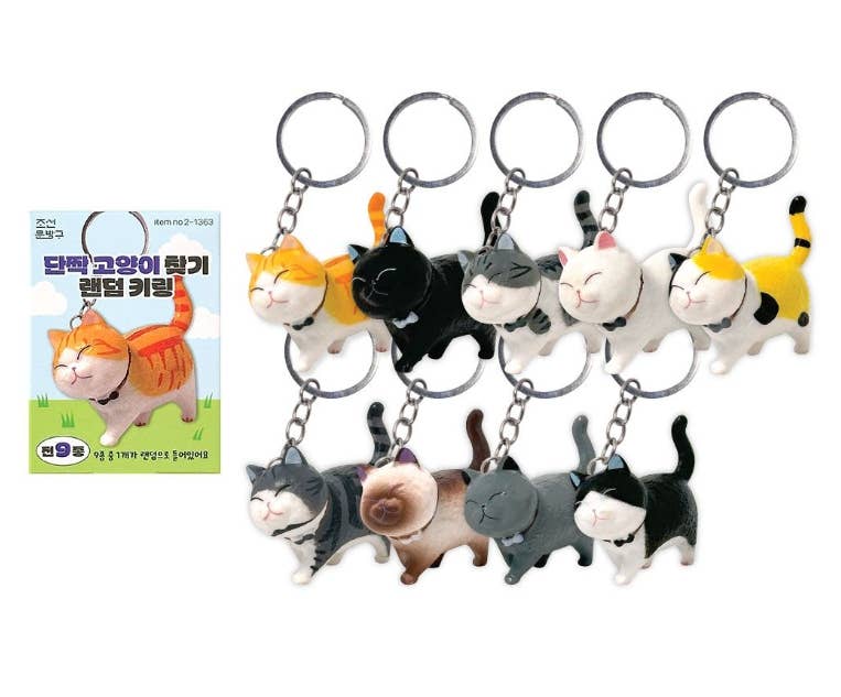 Best Friend Cat Figure Collectable Keyring Random Box - OVERRATED