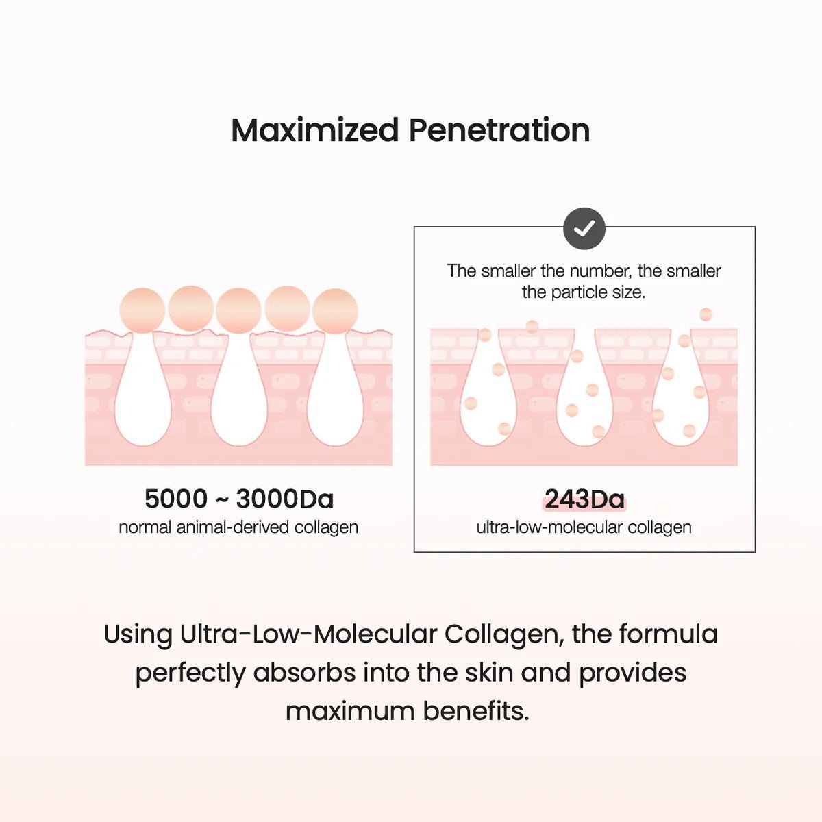 Biodance Collagen Cream 50ml - OVERRATED