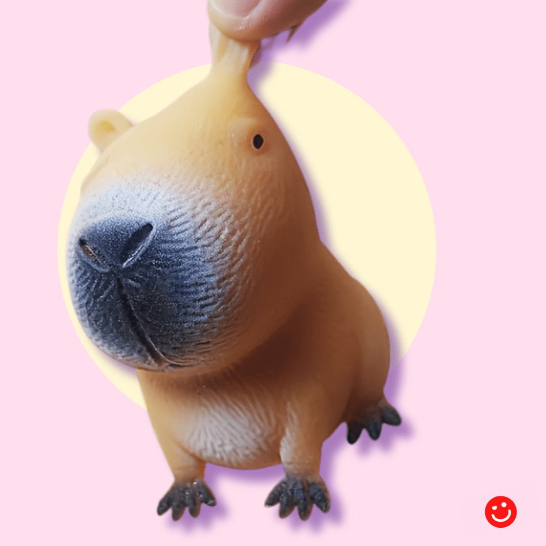 ChonkyBara Stress Squeezy Sensory Toy - OVERRATED