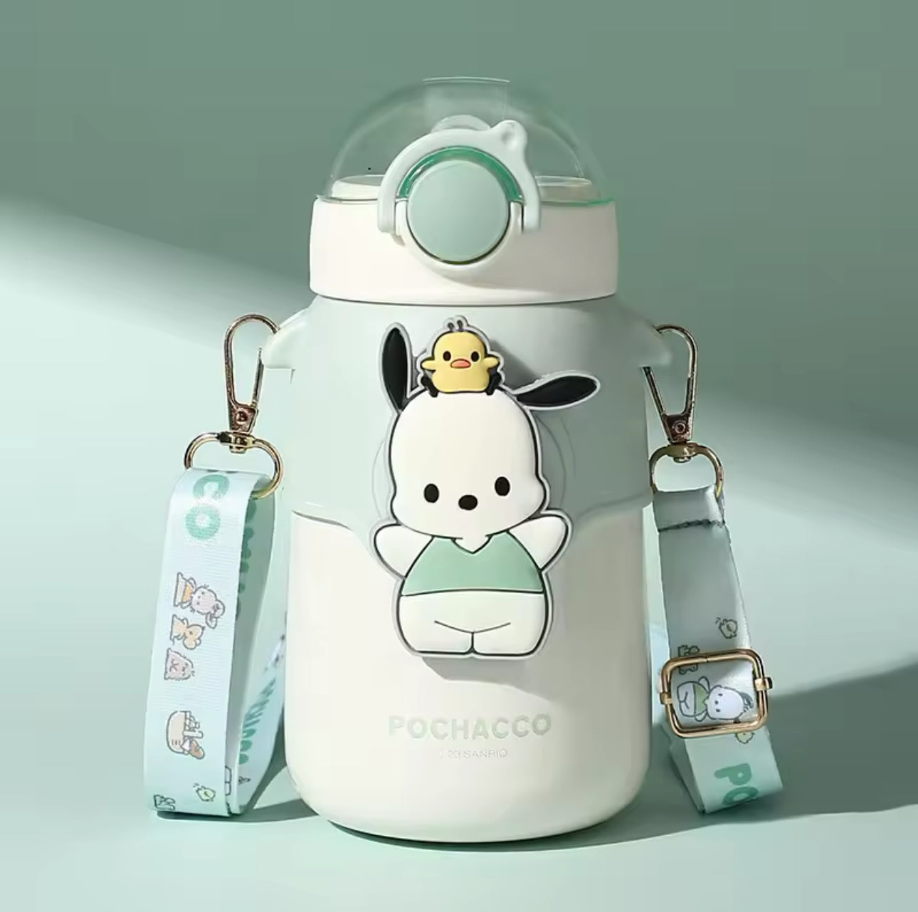 Sanrio Characters Kawaii Transparent Water Bottle With Travel Strap and Lid Closer