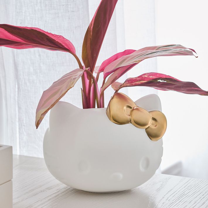 Hello Kitty Planter