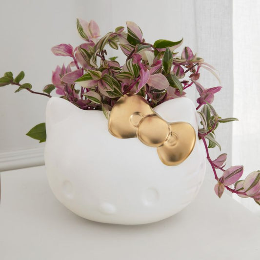 Hello Kitty Planter