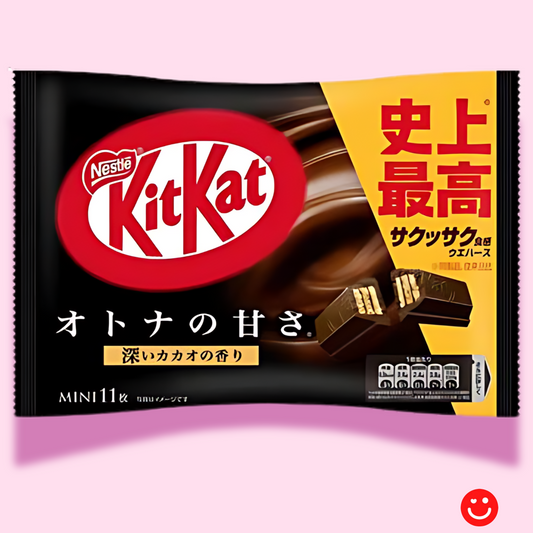 KitKat Limited Import Japanese Dark Chocolate Mini