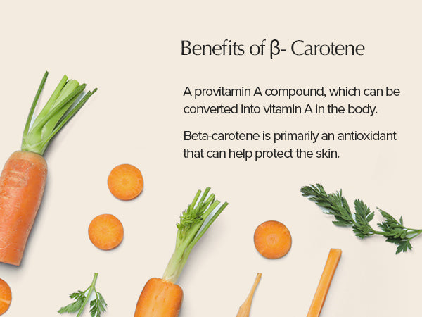 Skinfood Carrot Carotene Calming Water Pad