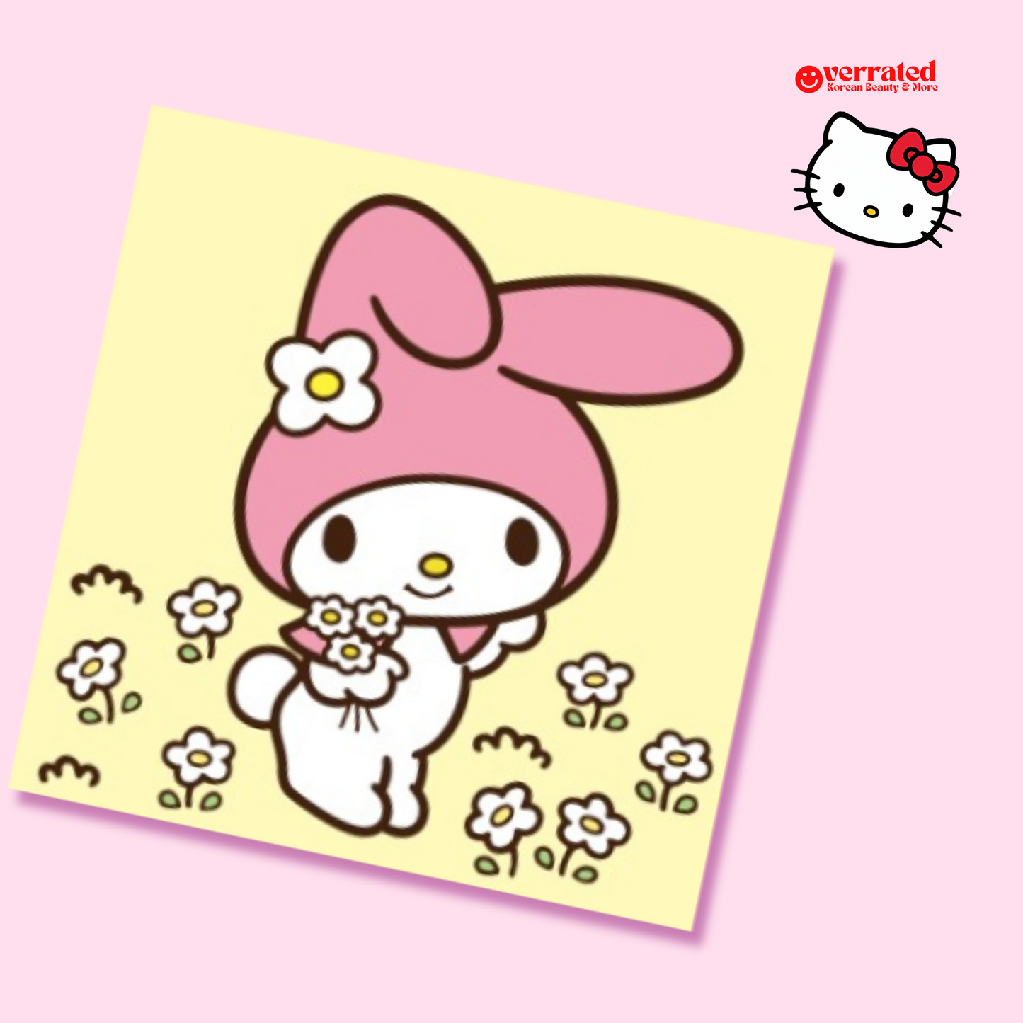 Sanrio Hello Kitty & Friends Kawaii Sticky Notes