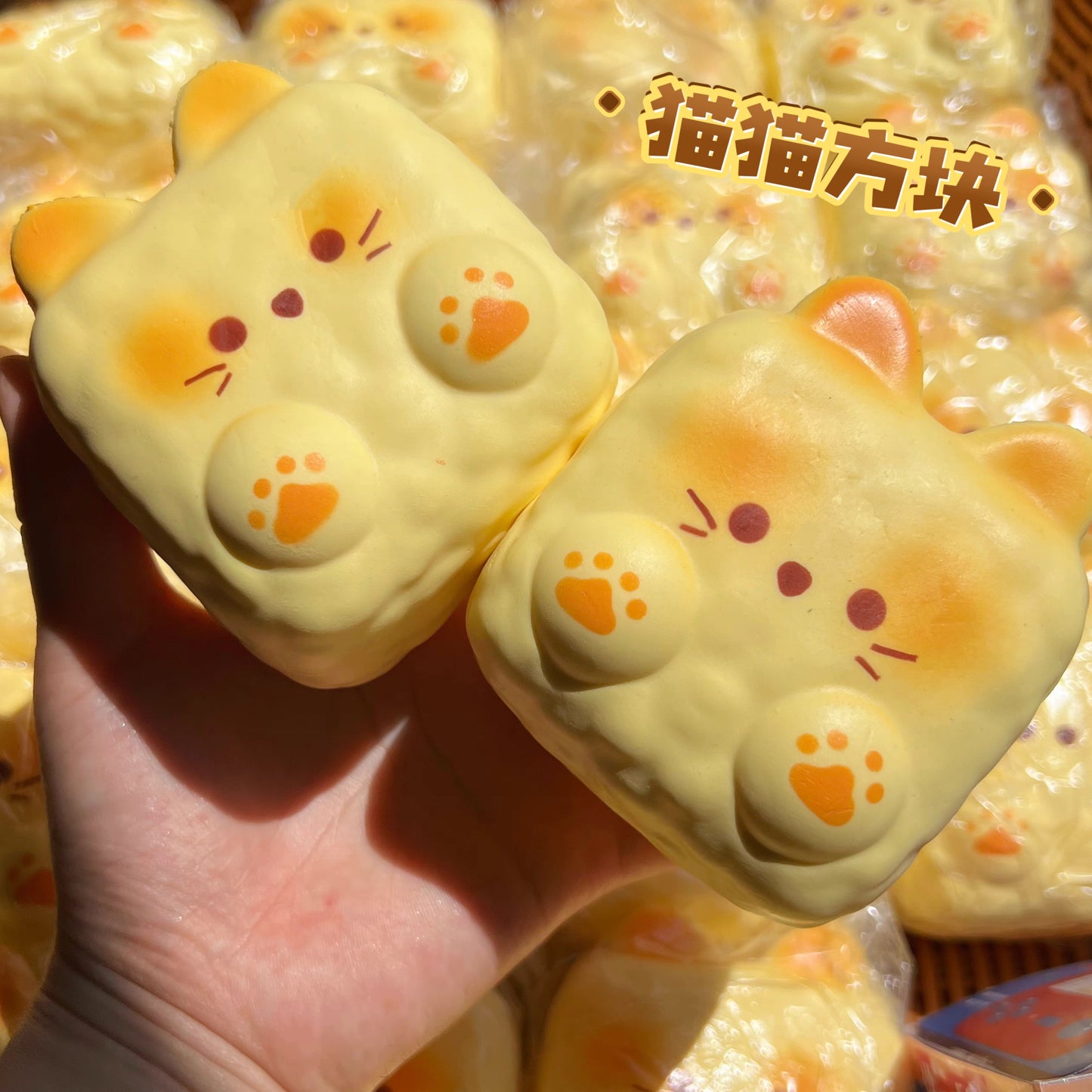 Chubby Paw Squishy Cube Sensory Toy