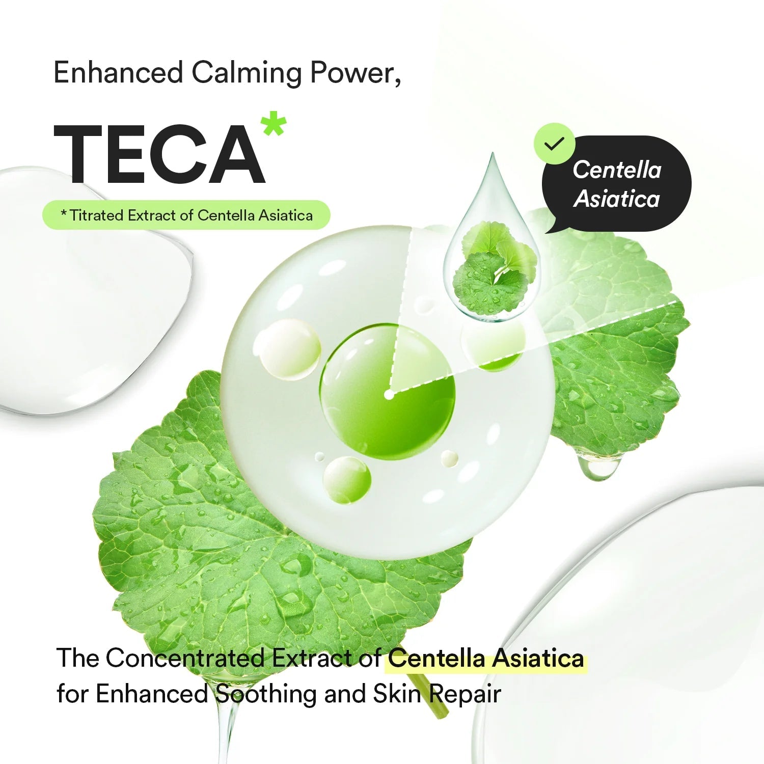 Abib Heartleaf Teca Capsule Serum Calming Drop - OVERRATED