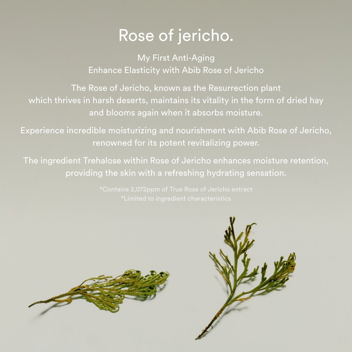 Abib Jericho rose bifida serum Firming drop - OVERRATED