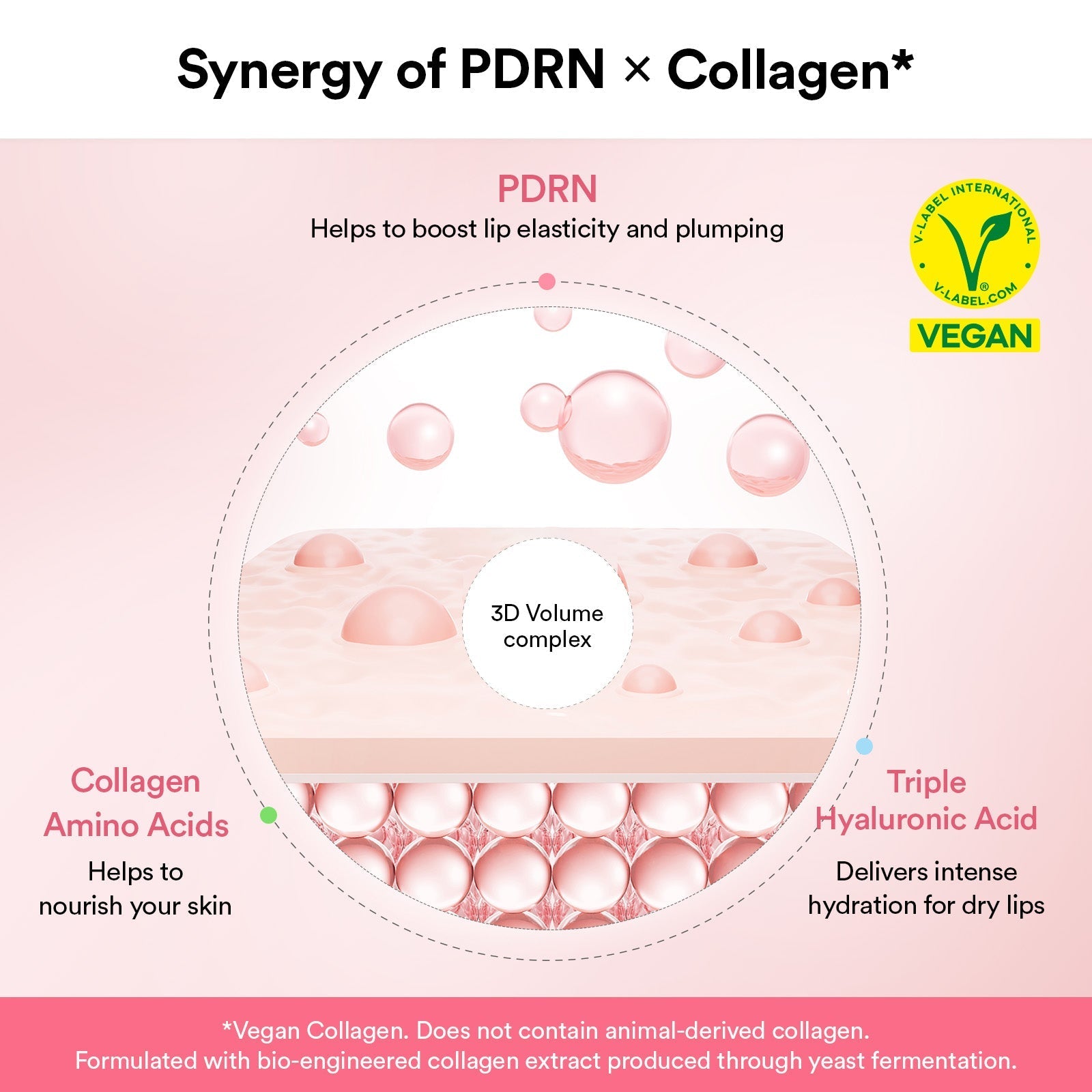 Abib PDRN Vegan Collagen lip mask Glazed jelly - OVERRATED