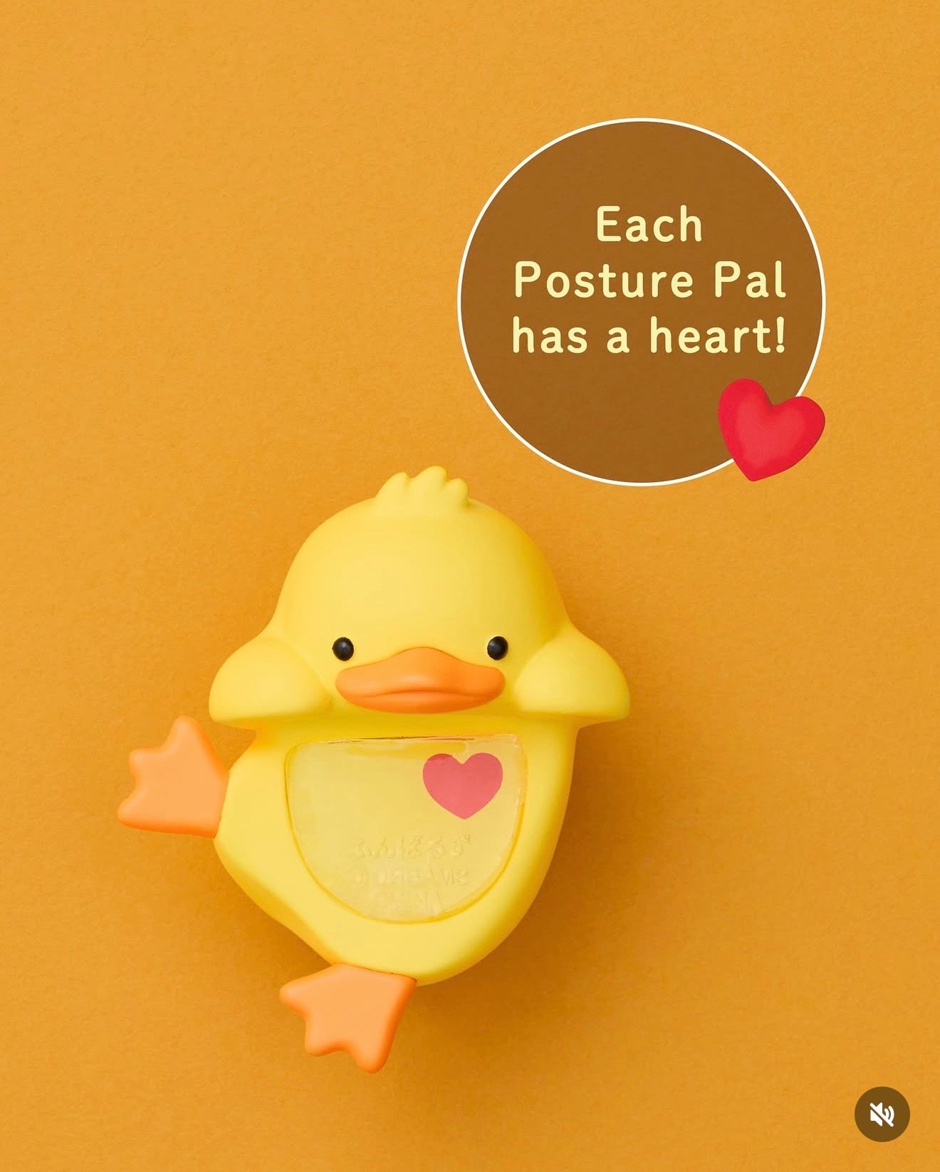 Funbarus Posture Pal Hipper - OVERRATED