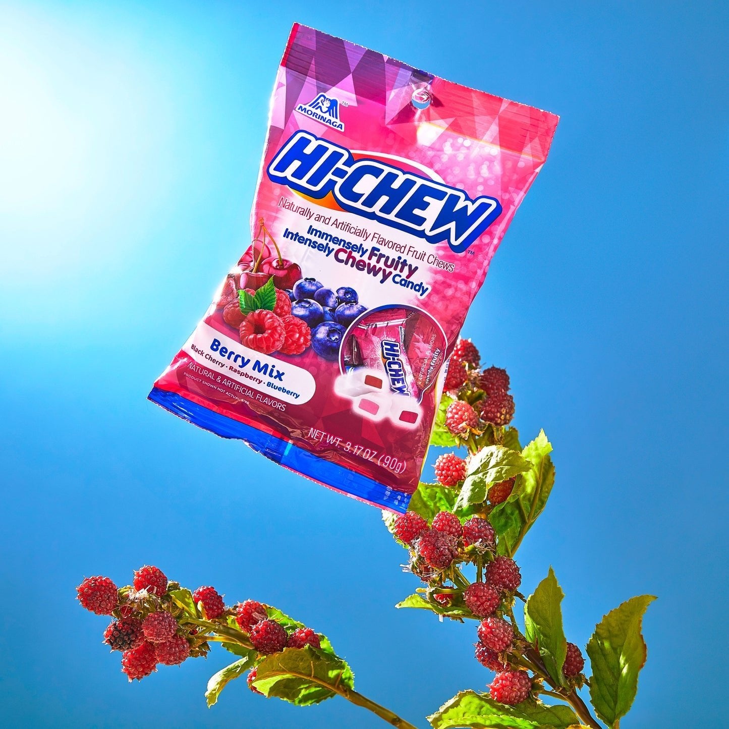Hi-Chew berry mix bag Japanese fruit chews back - Overrated Korean Beauty & More
