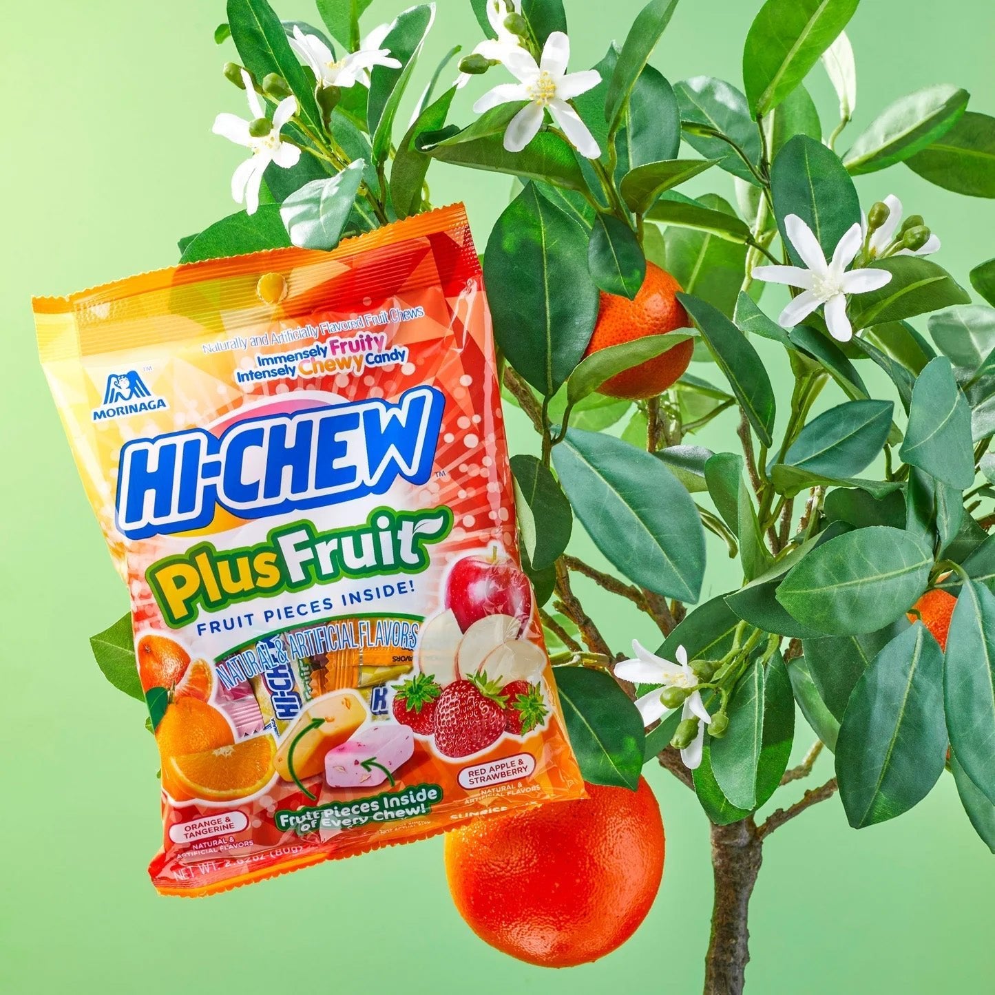 Hi-Chew fruit chews Plus Mix real fruit pieces ingredients - Overrated Korean Beauty & More