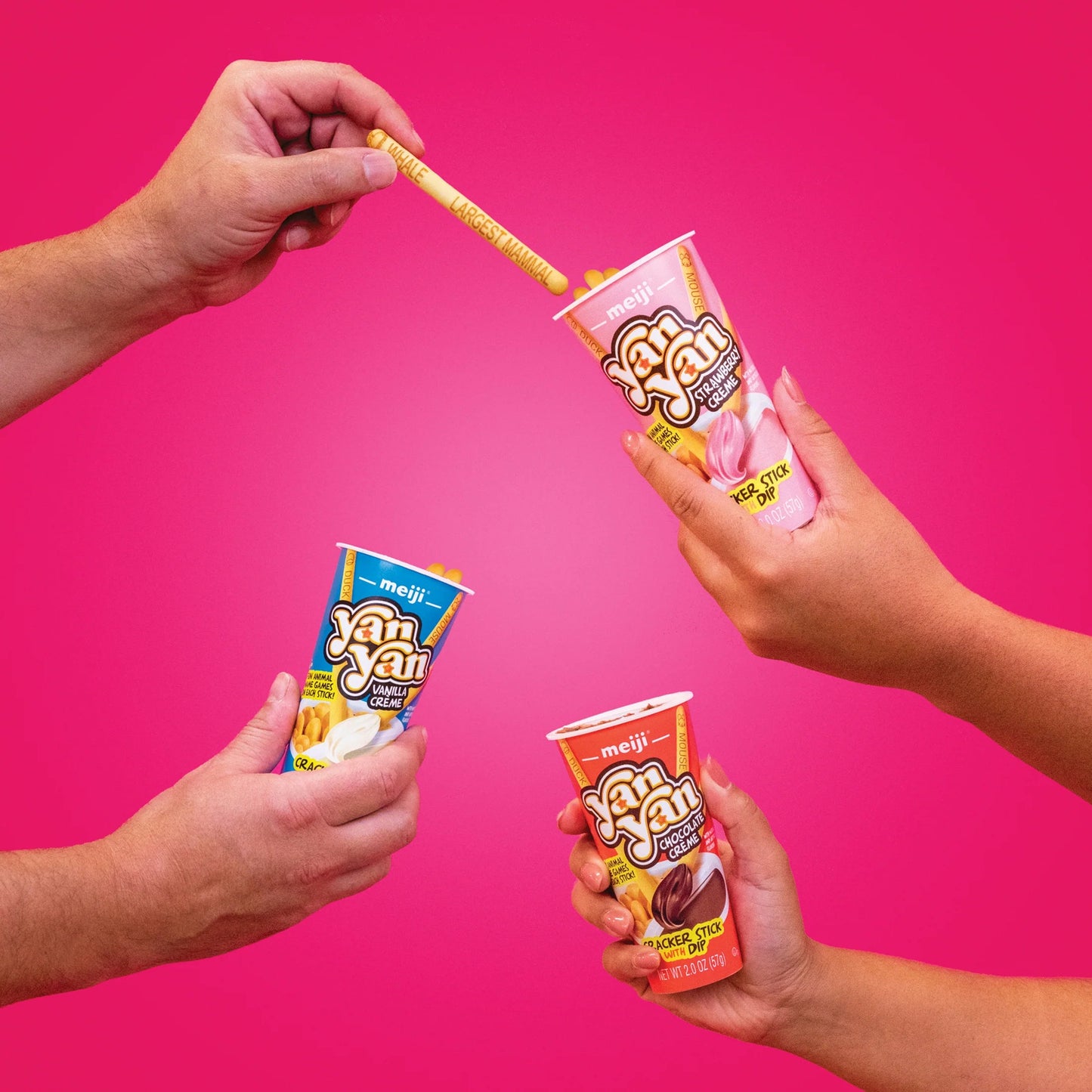 Meiji Yan Yan Chocolate Crème Cracker Stick with Dip - OVERRATED