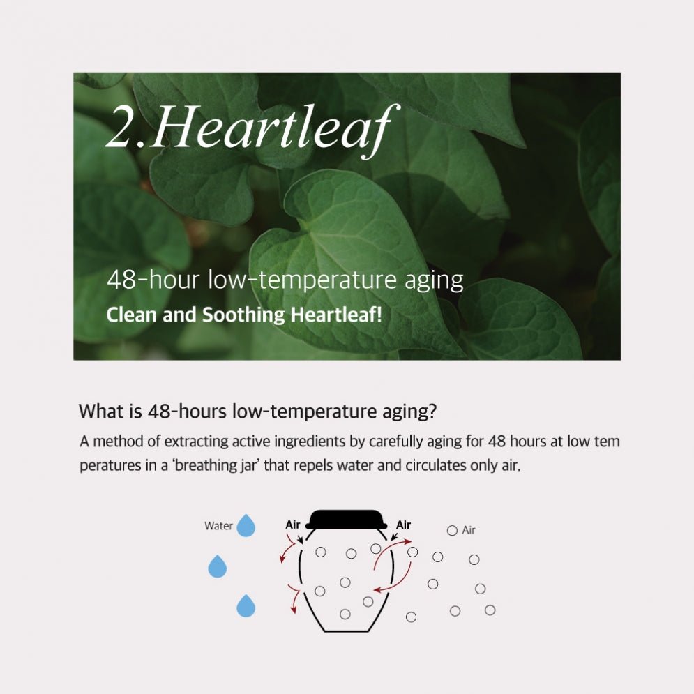 Mixsoon H.C.T. Body Mist - OVERRATED