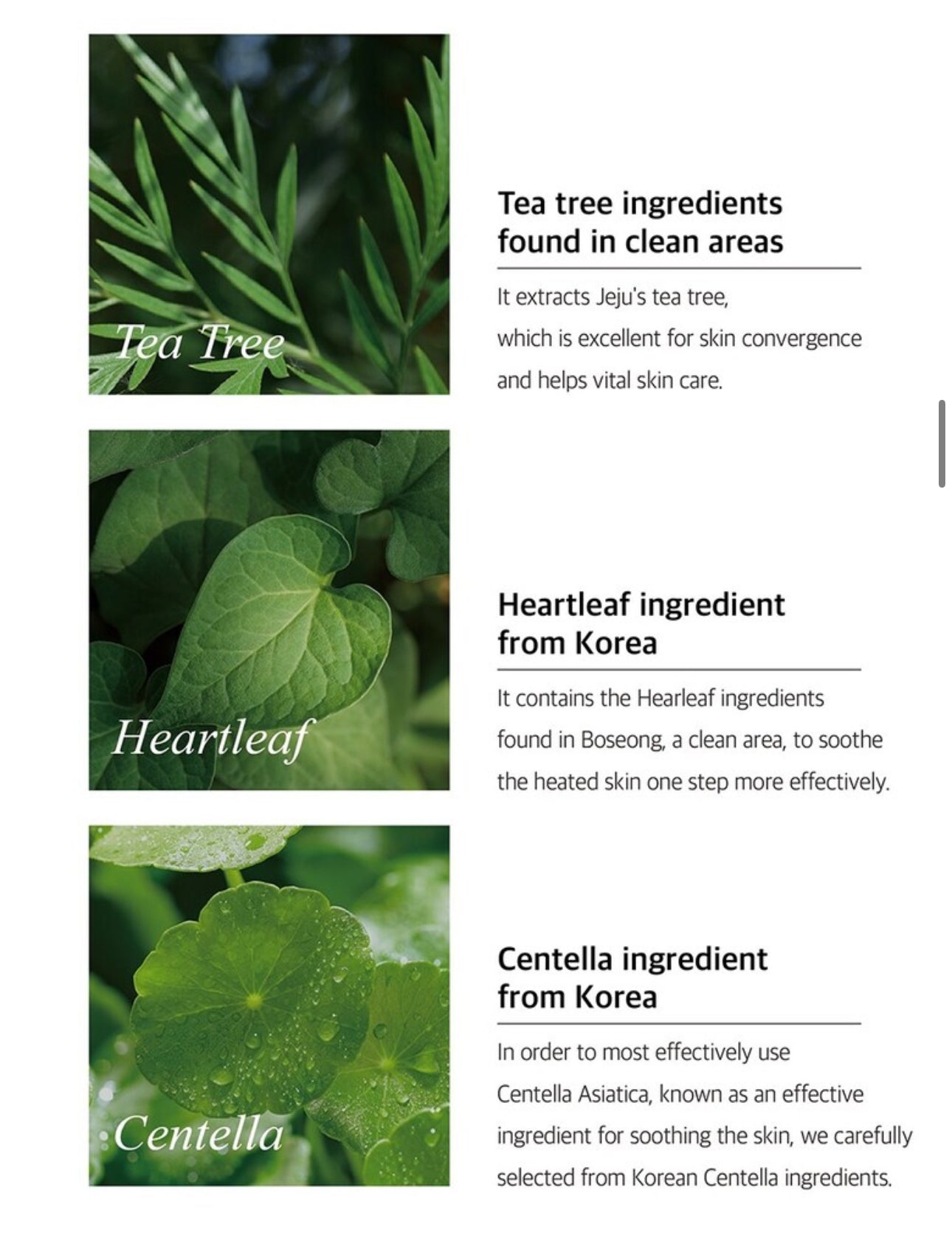 Mixsoon H.C.T. Body Mist - OVERRATED