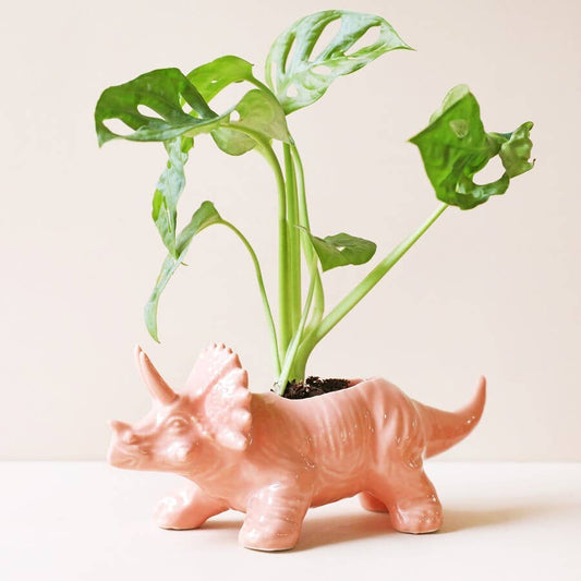 Pink Triceratops Dinosaur Planter - OVERRATED