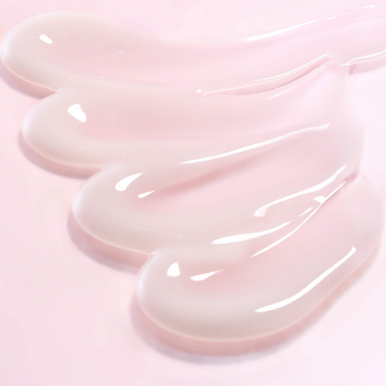 Round Lab Camellia Deep Collagen Firming Cream - OVERRATED