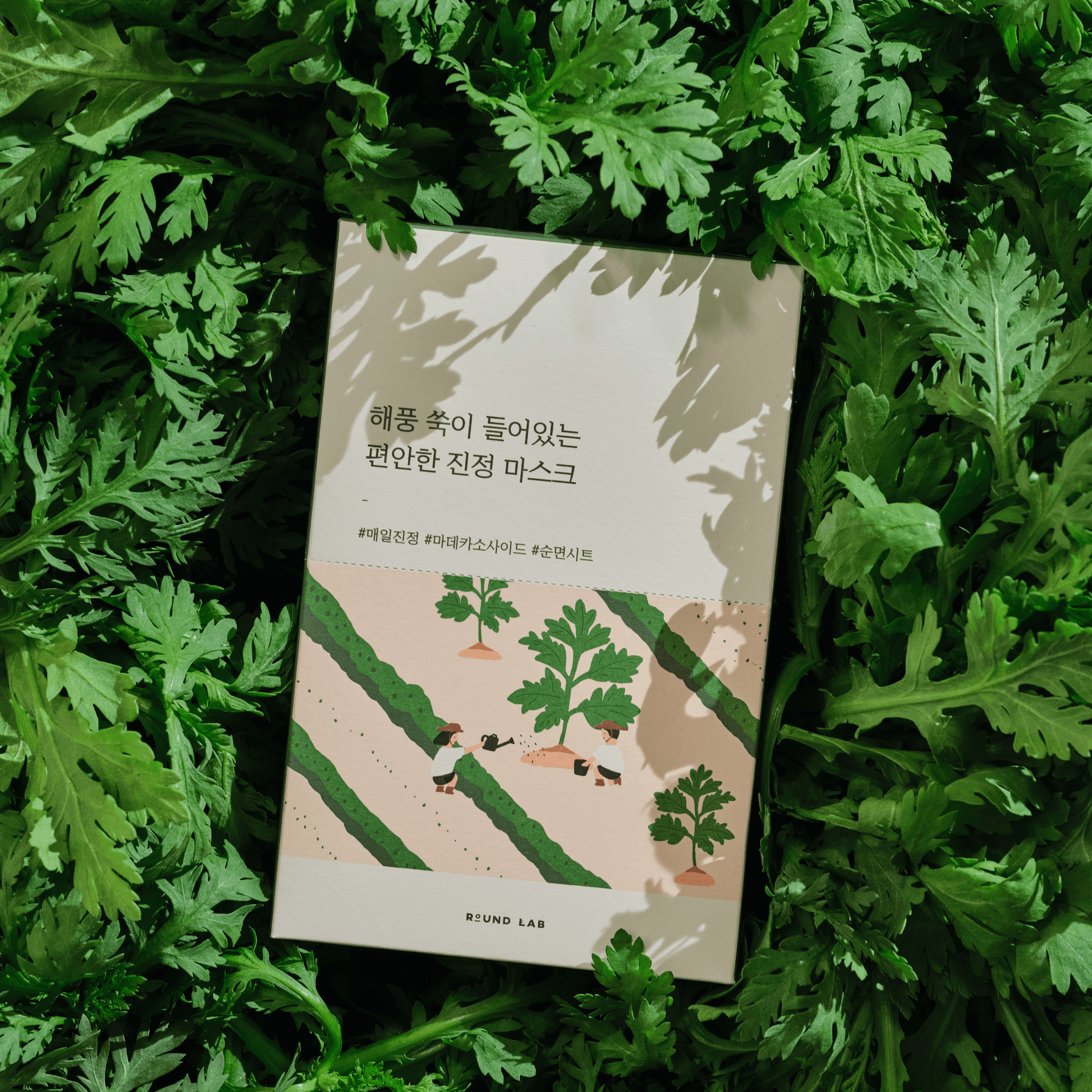 Round Lab Mugwort Calming Single Sheet Mask - OVERRATED
