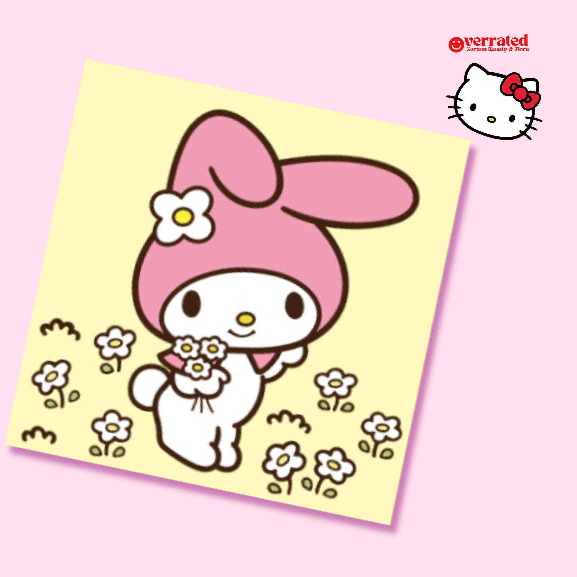 Sanrio Hello Kitty & Friends Kawaii Sticky Notes - OVERRATED