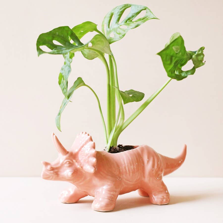 Pink Triceratops Dinosaur Planter